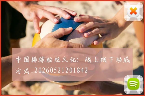 中国排球粉丝文化:线上线下助威方式_20260521201842